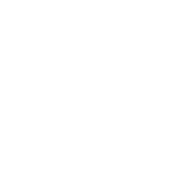 reddit icon